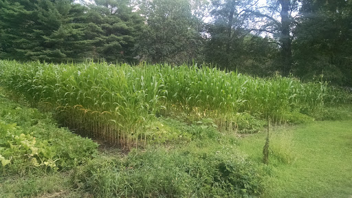 Museum «The Old Manse», reviews and photos, 269 Monument St, Concord, MA 01742, USA