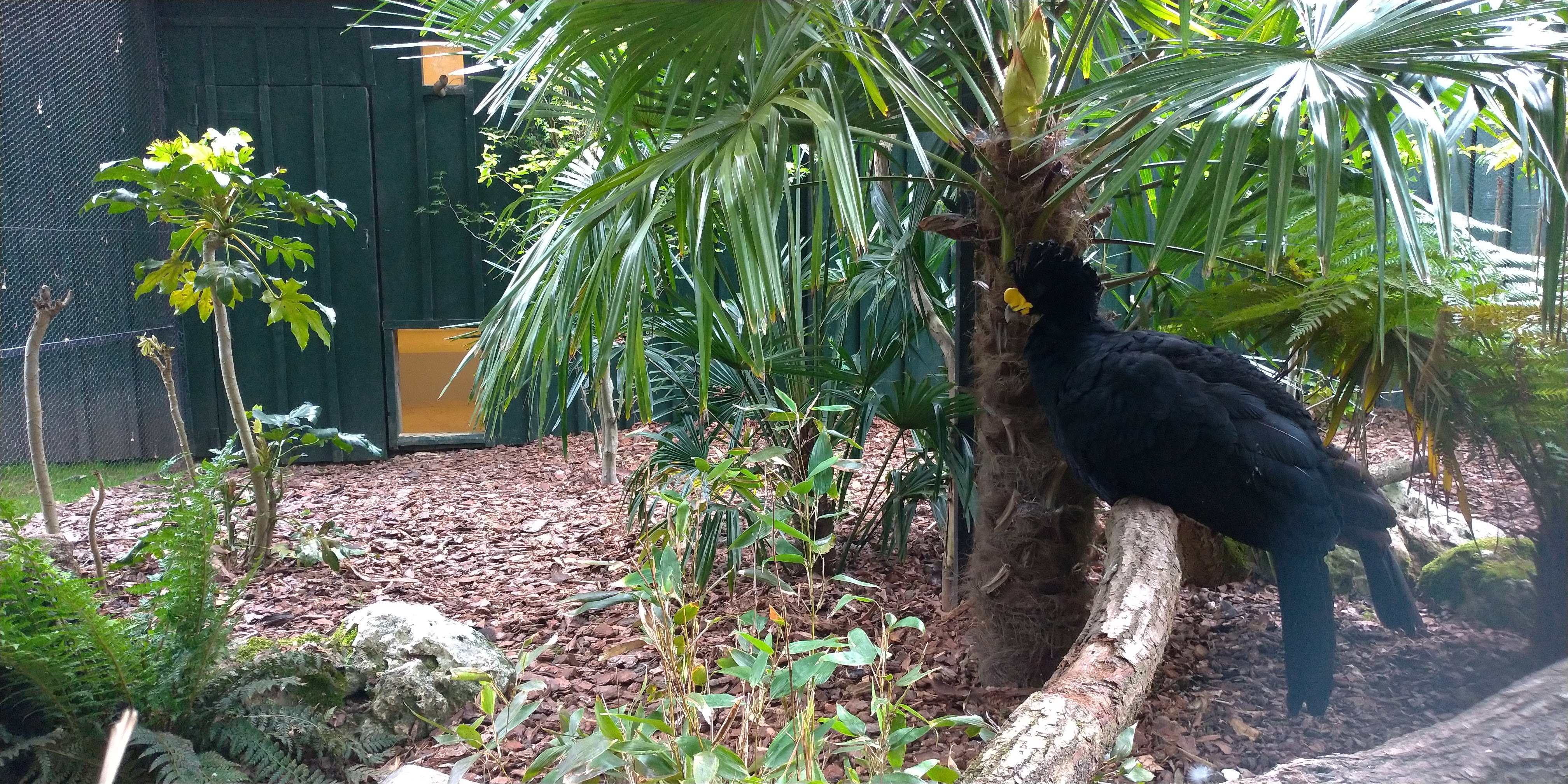 Photo n° 11 de l'avis de Maxime.E fait le 19/05/2019 à 20:15