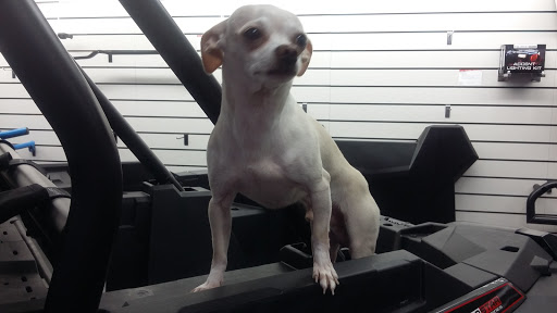 Motorcycle Dealer «MR Motorcycle», reviews and photos, 774 Hendersonville Rd, Asheville, NC 28803, USA