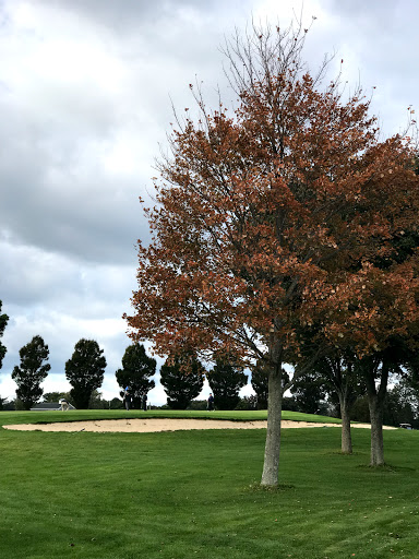 Golf Club «Cherry Creek Golf Links», reviews and photos, 900 Reeves Ave, Riverhead, NY 11901, USA