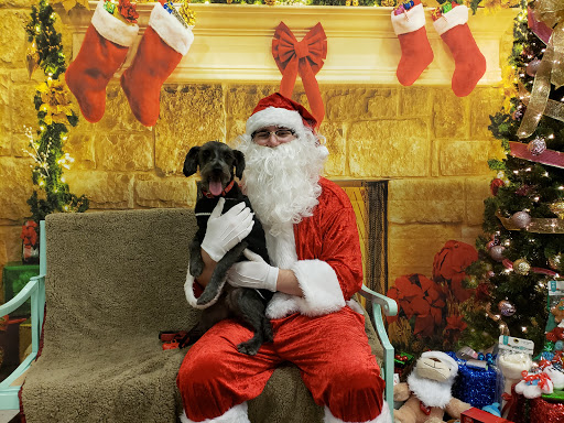 Pet Supply Store «PetSmart», reviews and photos, 11331 Causeway Blvd, Brandon, FL 33511, USA