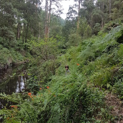 Photos of Dandos Camping Spot