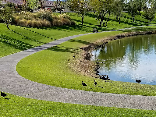 Golf Club «Shadow Hills Golf Club», reviews and photos, 80875 Ave 40, Indio, CA 92203, USA