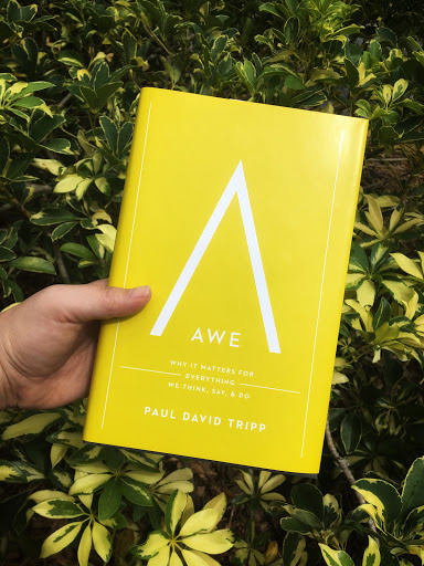 Book Store «Calvary Chapel Bookstore», reviews and photos, 8900 US-19, Pinellas Park, FL 33782, USA