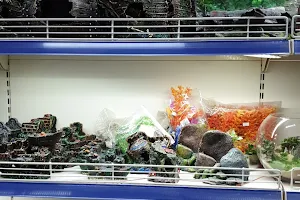 Baracuda Aquarium & Pet Shop image