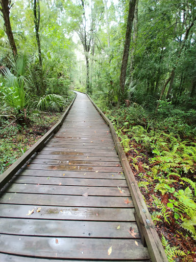 Nature Preserve «Crystal Springs Preserve», reviews and photos, 1609 Crystal Springs Rd, Crystal Springs, FL 33524, USA