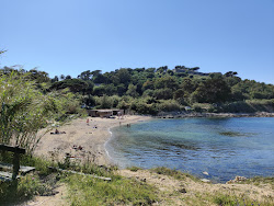 Plage de Saint-Tropez'in fotoğrafı imkanlar alanı