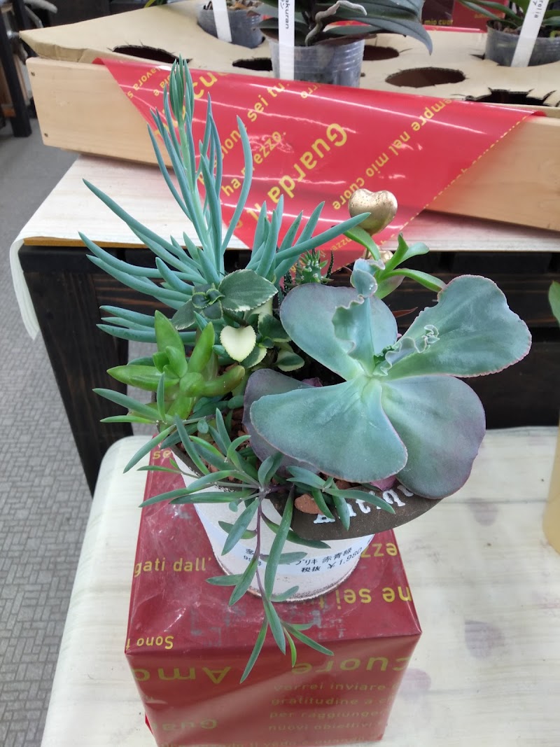 島忠 ホームズ浦和南店 埼玉県さいたま市南区内谷 ホームセンター グルコミ