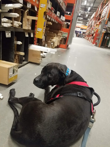 Home Improvement Store «The Home Depot», reviews and photos, 1570 U.S. 9, Wappingers Falls, NY 12590, USA