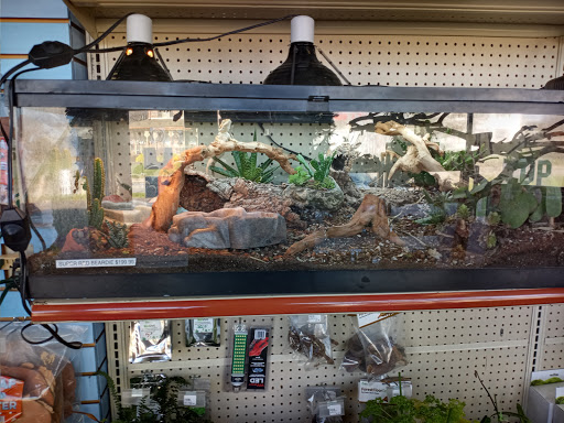 Pet Store «Fins Feathers Paws & Claws», reviews and photos, 436 Main St, Harleysville, PA 19438, USA