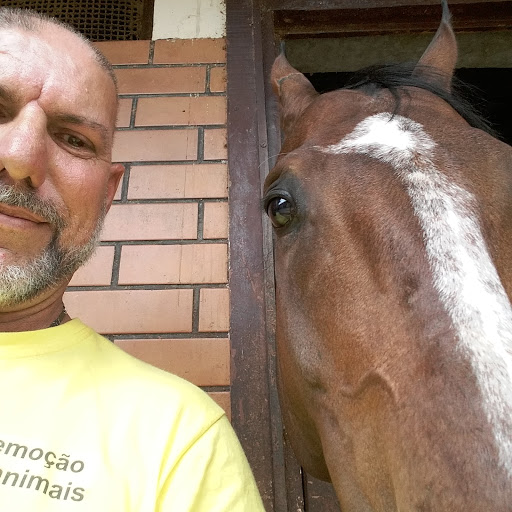 Unidade de Atendimento Clínico Cirúrgico Veterinário