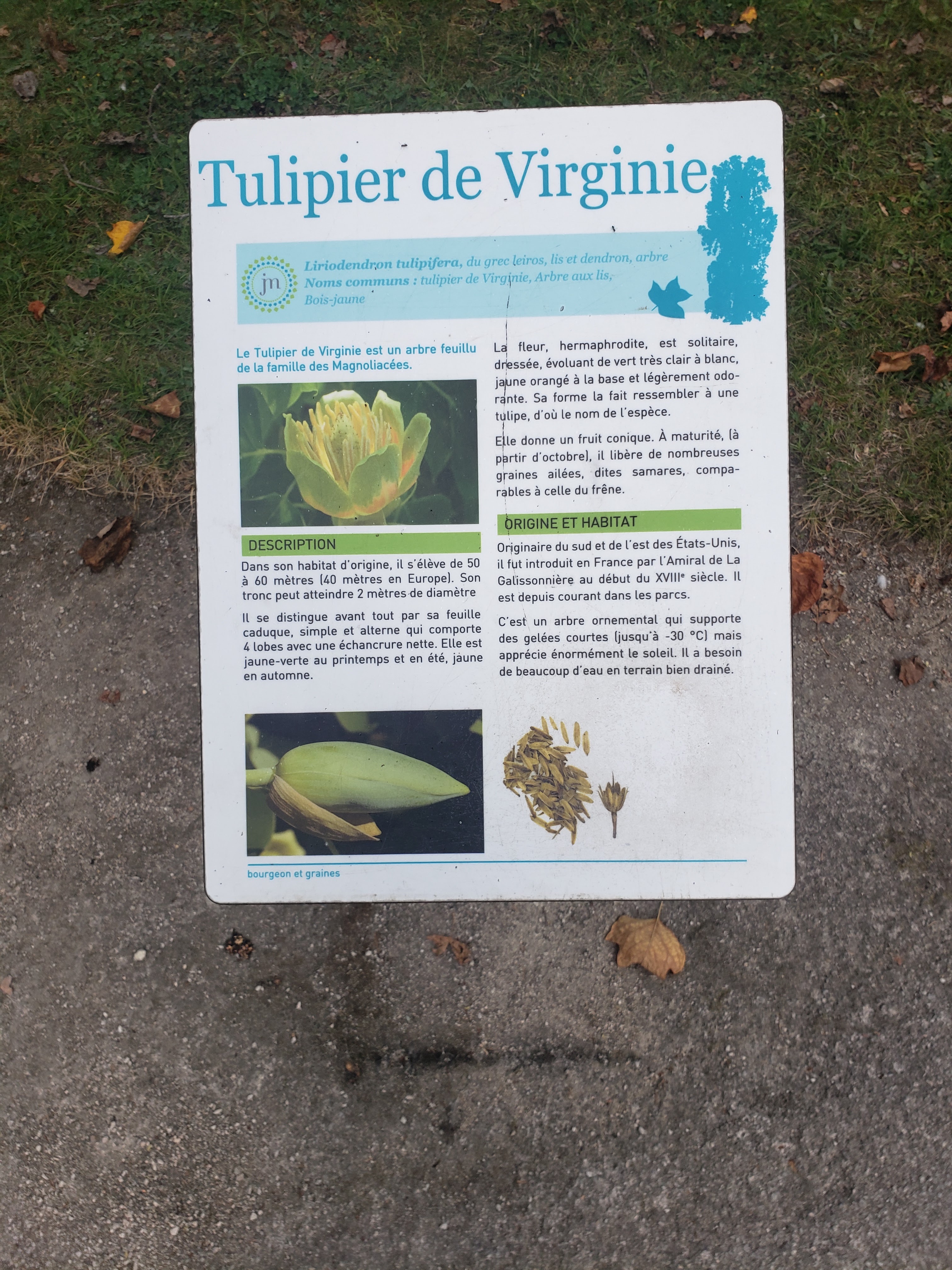 Photo n° 20 de l'avis de Julien.o fait le 16/08/2023 à 21:21