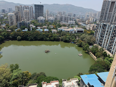 Google Maps image 17