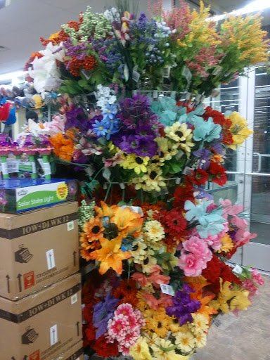 Dollar Store «Dollar Tree», reviews and photos, 5253 Library Rd, Bethel Park, PA 15102, USA