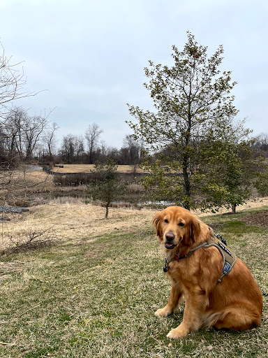 Park «Blandair Regional Park», reviews and photos, 5750 Oakland Mills Rd, Columbia, MD 21045, USA