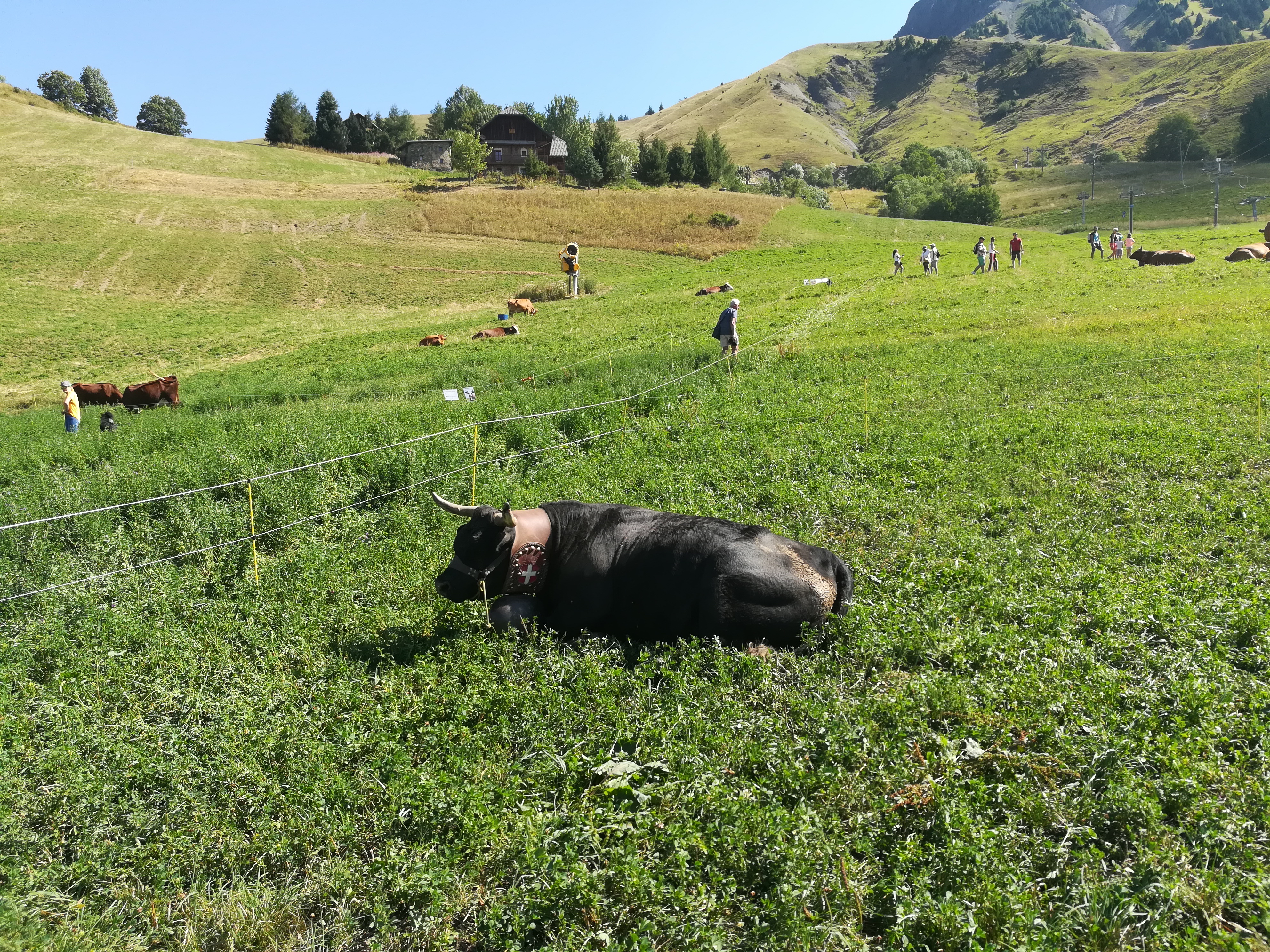 Photo n° 3 de l'avis de NathduVar. fait le 19/08/2019 à 12:11