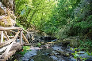 Traumschleife „Ehrbachklamm“ image