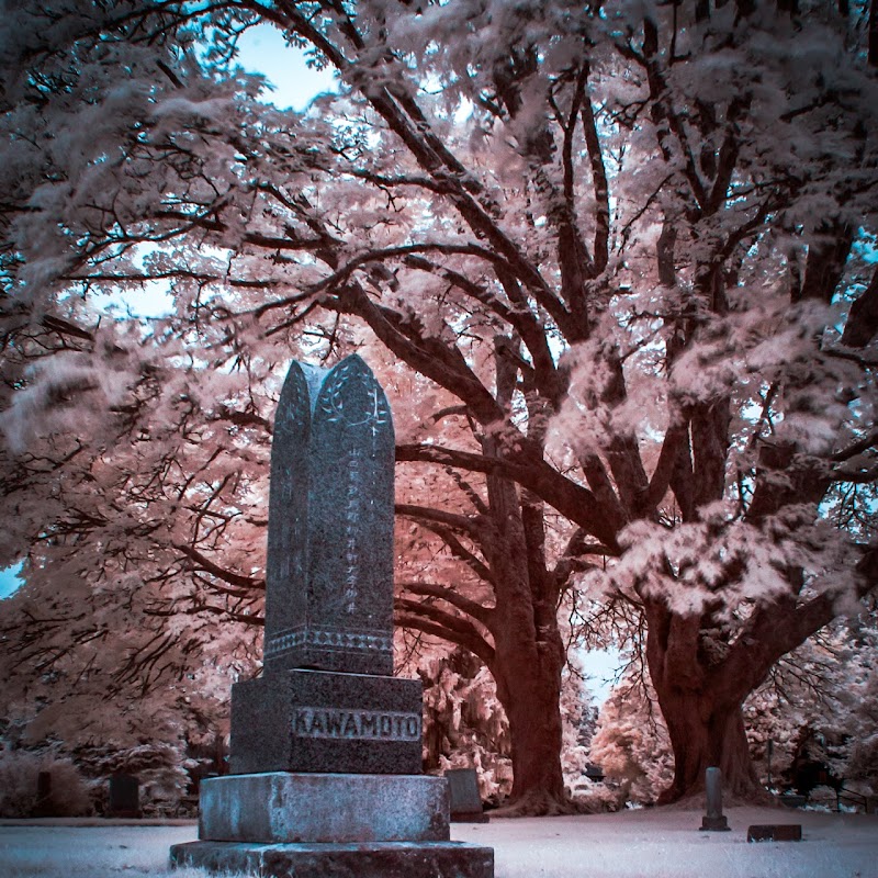 Maple Ridge Cemetery