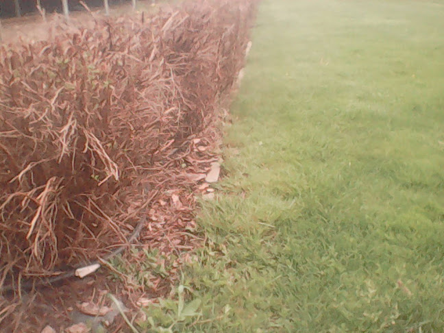 KERT-SZER-VIZ - Kertészkedő