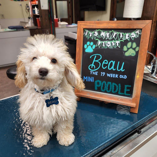 Pet Store «Perfect Pets», reviews and photos, 6840 S University Blvd #410, Centennial, CO 80122, USA