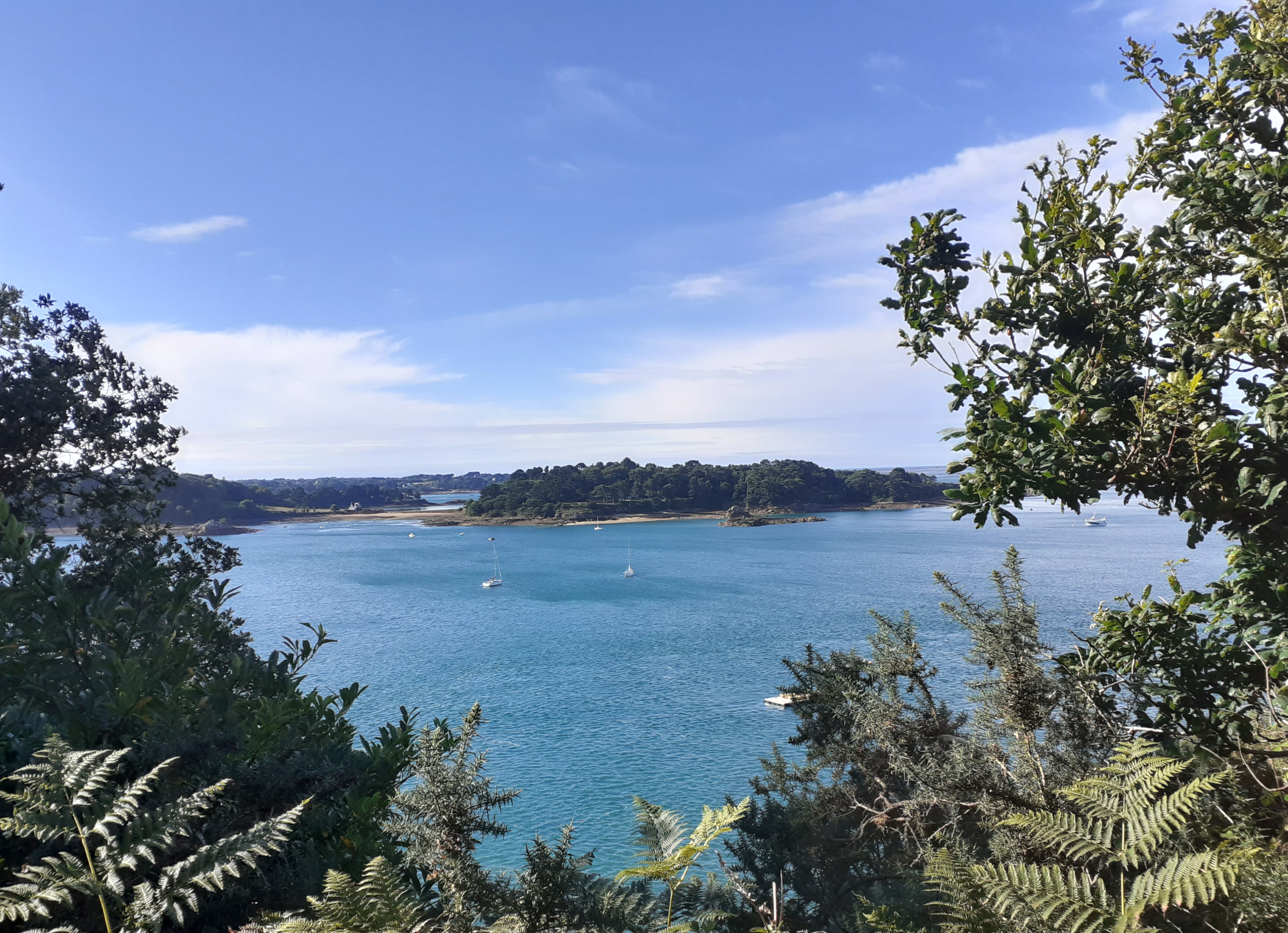 Photo n° 2 de l'avis de Amandine.e fait le 21/07/2020 à 18:38