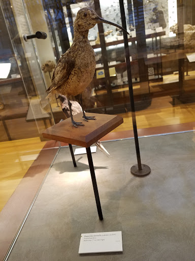 Museum «Beneski Museum of Natural History», reviews and photos, 11 Barrett Hill Rd, Amherst, MA 01002, USA