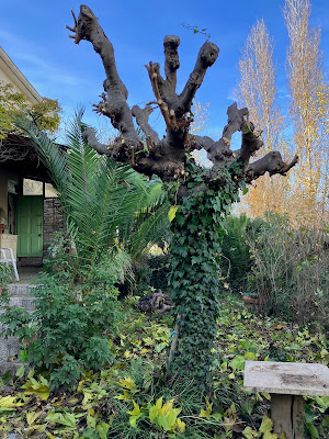 Brico et Jardin 66 à Latour-Bas-Elne