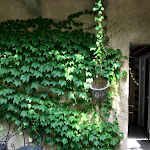 Photo n°4 de l'avis de Silke.e fait le 20/06/2018 à 04:22 sur le  La Darbia Resort à Vacciago