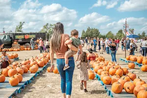 Yesterland Farm image