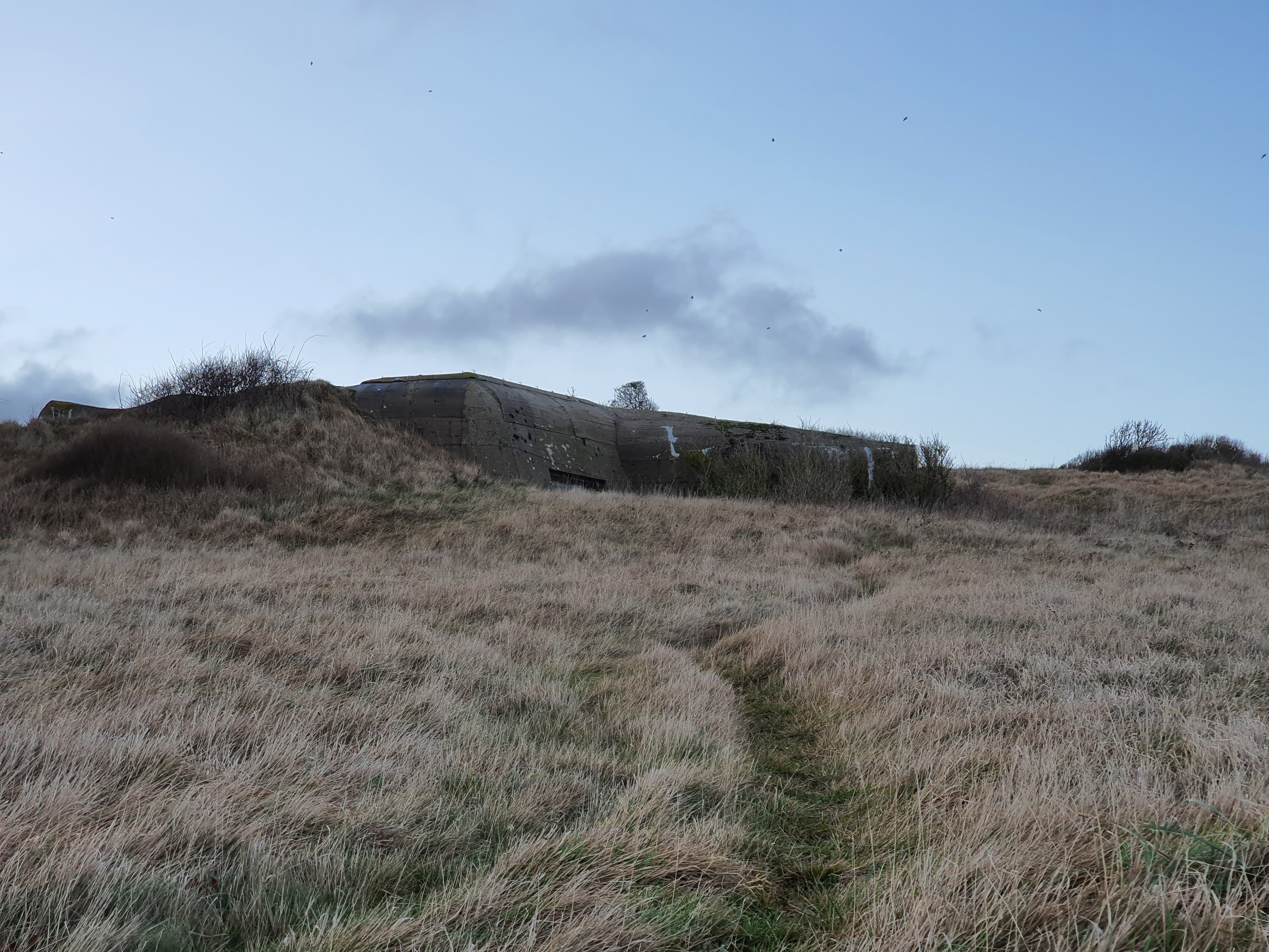 Photo n° 14 de l'avis de Fra. fait le 19/01/2020 à 16:53