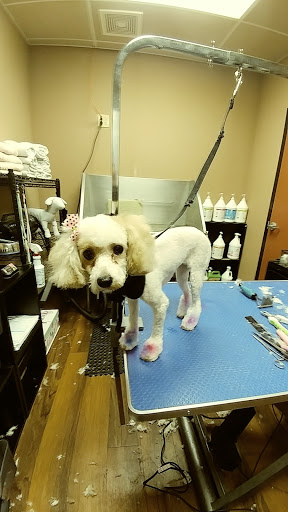 Pet Store «Pet Valu», reviews and photos, 2645 Shillington Rd, Sinking Spring, PA 19608, USA