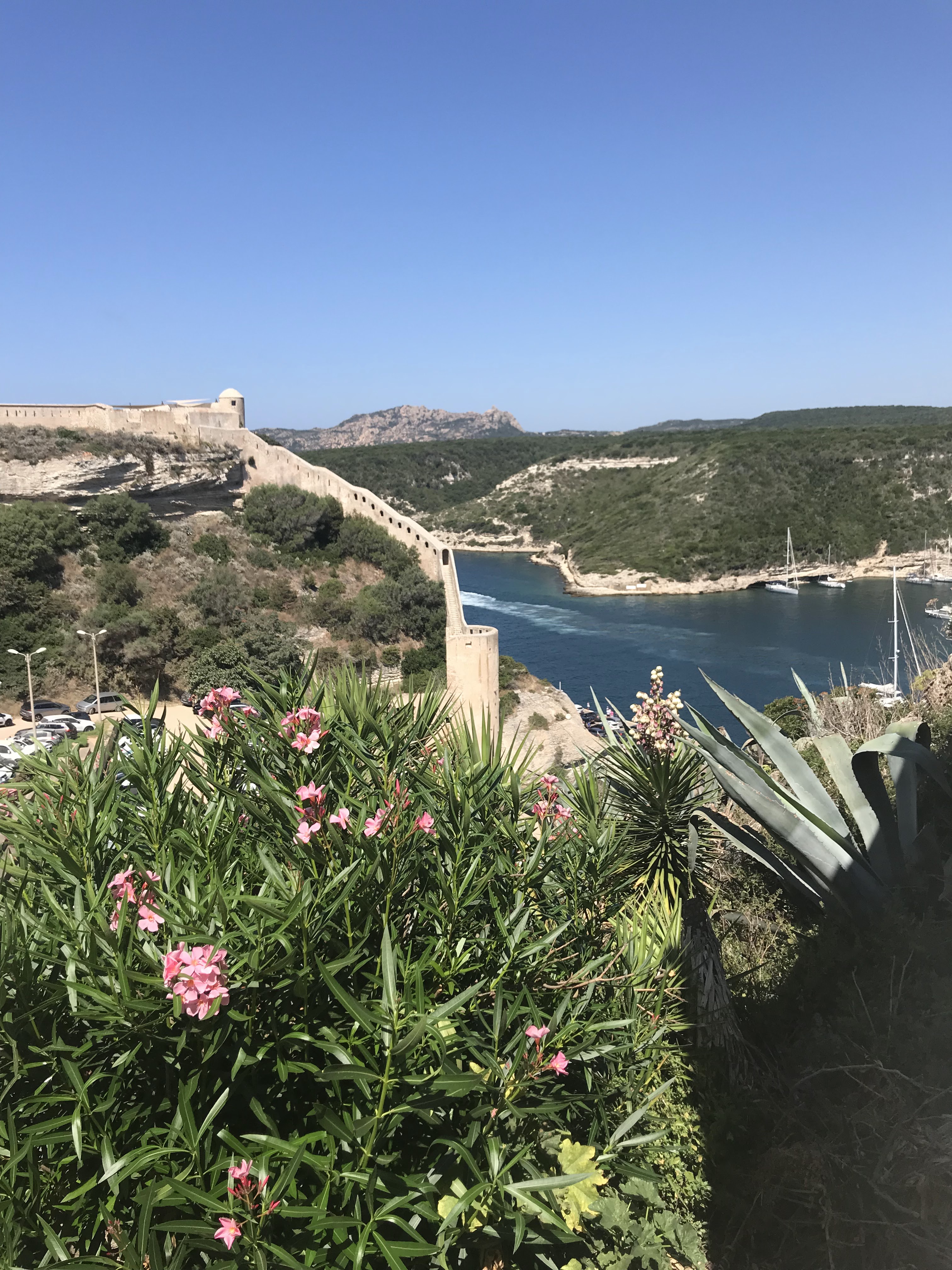 Photo n° 9 de l'avis de Paolo.u fait le 29/07/2018 à 13:06