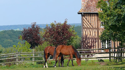 Calvados Attractivité à Caen