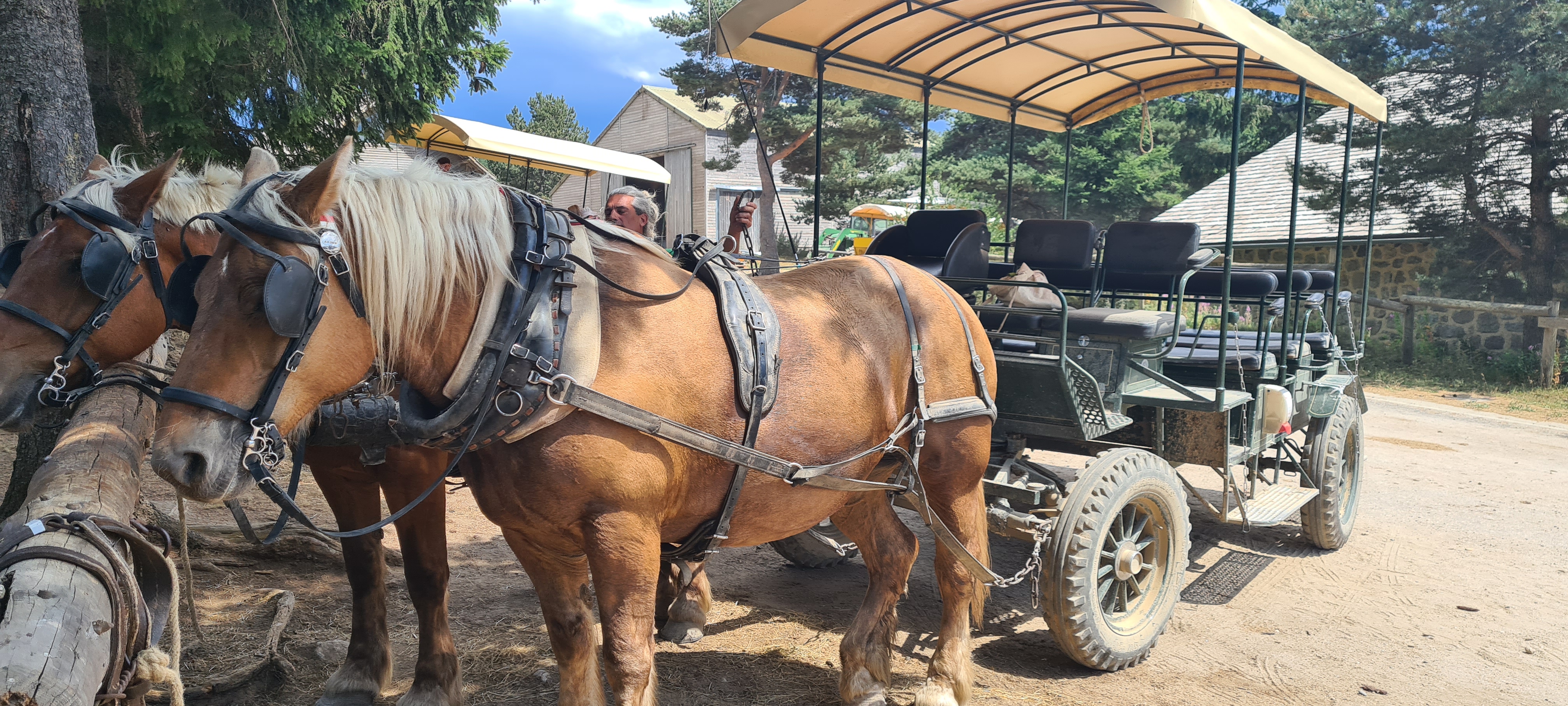 Photo n° 14 de l'avis de Marion.a fait le 05/08/2022 à 13:21