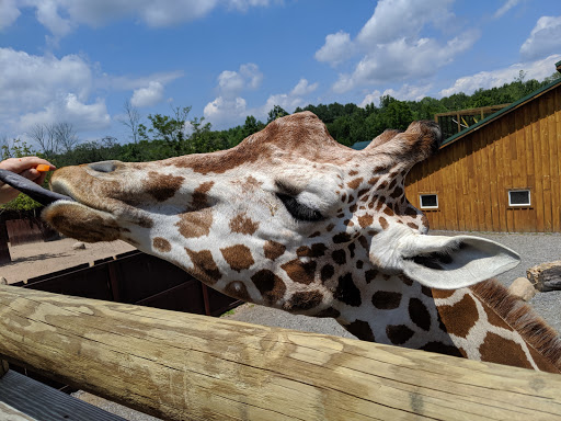 Zoo «The Wild Animal Park», reviews and photos, 7621 Lakeport Rd, Chittenango, NY 13037, USA