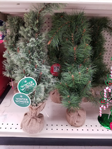 Discount Store «Big Lots», reviews and photos, 648 E Main St, Lansdale, PA 19446, USA