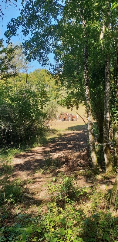 Photo n° 1 de l'avis de Frank.l fait le 25/09/2018 à 12:29