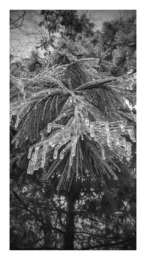 History Museum «Benjamin Banneker Historical», reviews and photos, 300 Oella Ave, Catonsville, MD 21228, USA