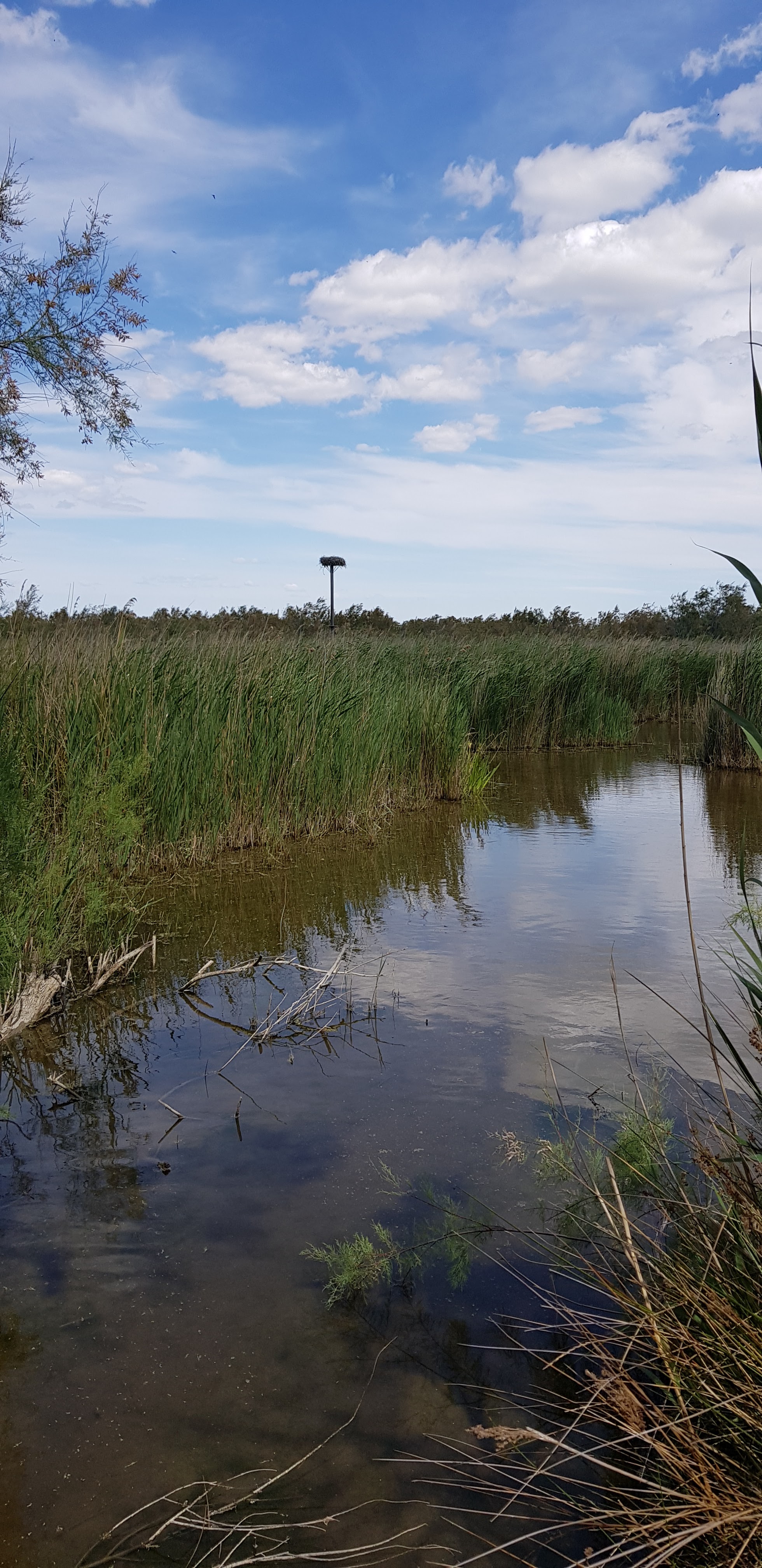 Photo n° 3 de l'avis de van. fait le 29/05/2019 à 16:20