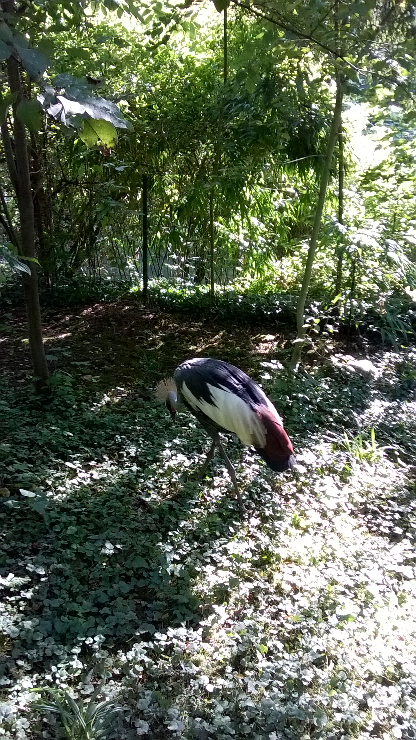 Photo n° 3 de l'avis de J-F.. fait le 01/06/2022 à 15:25