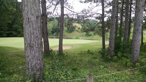 Golf Course «Mistwood Golf Course», reviews and photos, 7568 Ole White Dr, Lake Ann, MI 49650, USA