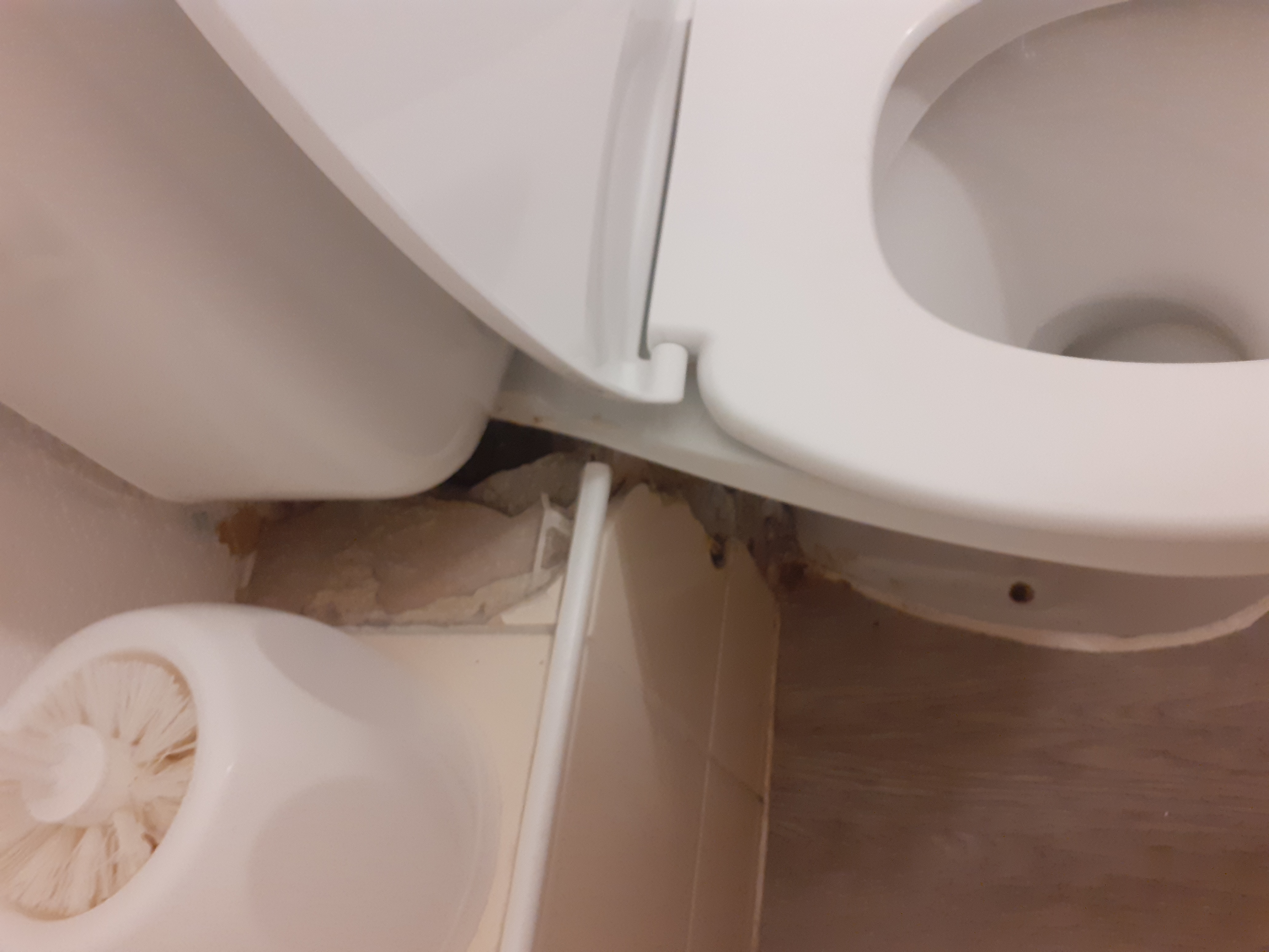 Photo n° 8 de l'avis de Marie.a fait le 24/05/2021 à 21:57