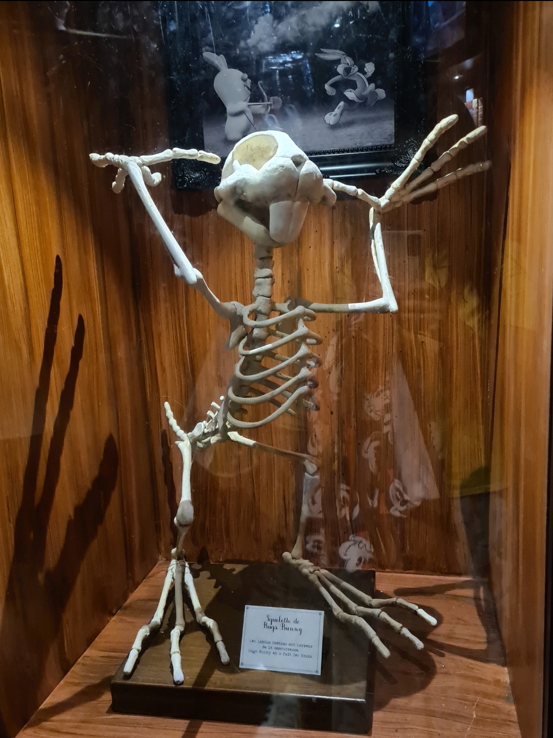 Photo n° 3 de l'avis de Huriye.k fait le 22/08/2023 à 07:51