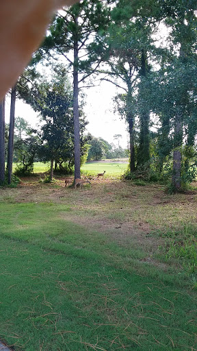 Golf Club «Santa Rosa Golf & Beach Club», reviews and photos, 334 Golf Club Dr, Santa Rosa Beach, FL 32459, USA