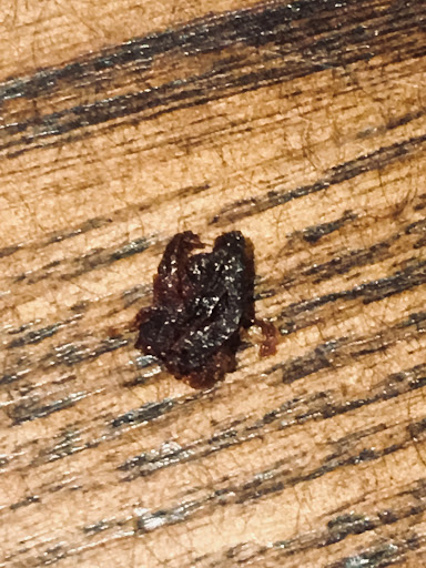 Mexican Restaurant «On The Border Mexican Grill & Cantina», reviews and photos, 1414 Gross Rd, Mesquite, TX 75149, USA