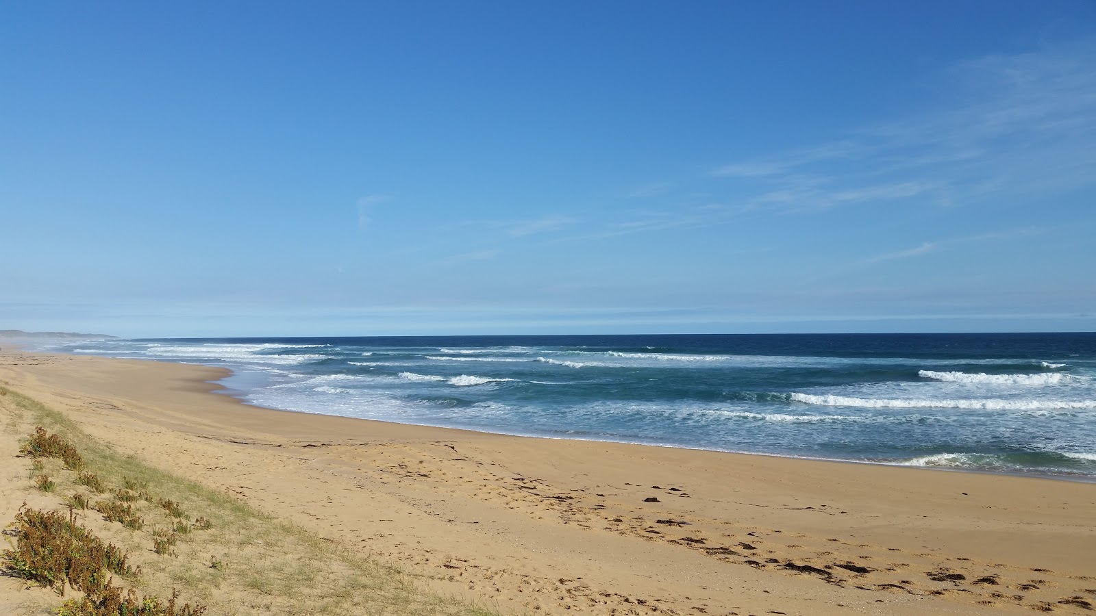 Williamson's Beach的照片 带有长直海岸