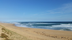 Foto di Williamson's Beach con dritto e lungo