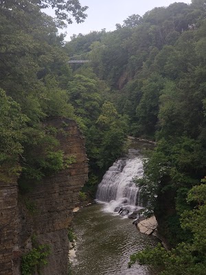 Forest Falls - photo 62