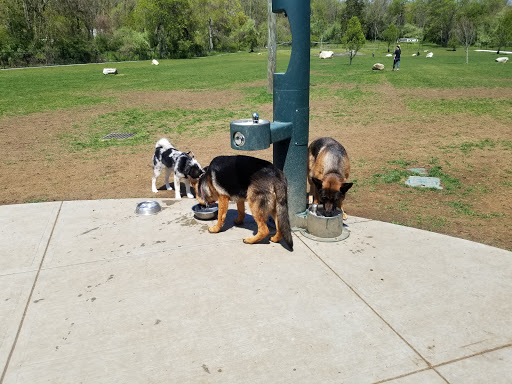 Dog Park «Dog Park», reviews and photos, 1001 W River St, Milford, CT 06461, USA