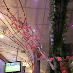 Photo n°16 de l'avis de Davide.s fait le 22/09/2018 à 11:02 sur le  Arhena + Bowling, Pizzeria & Snackeria à Portogruaro